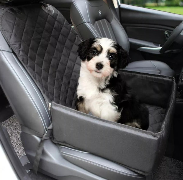 Automobilinė kėdutė augintiniui