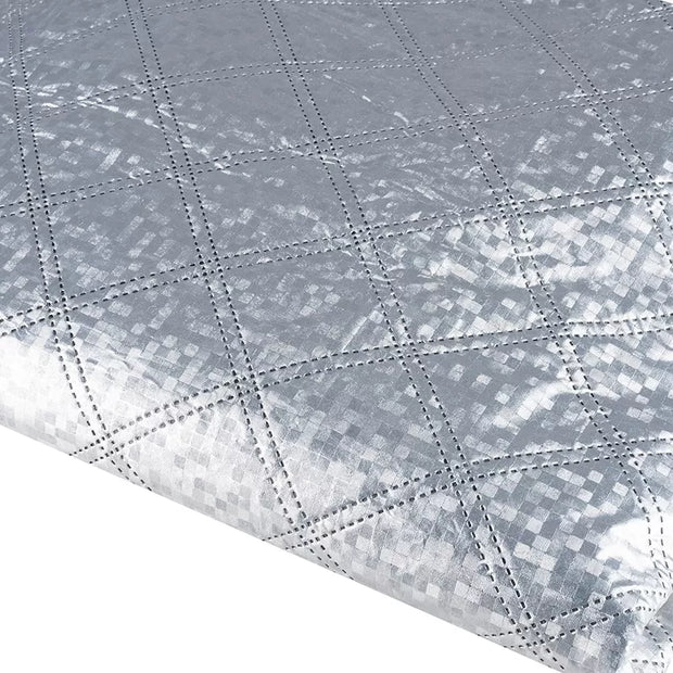 Automobilio stiklo uždangalas + veidrodėliai