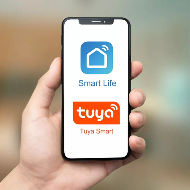 Išmanioji WiFi rozetė "Išmanusis Kištukas"