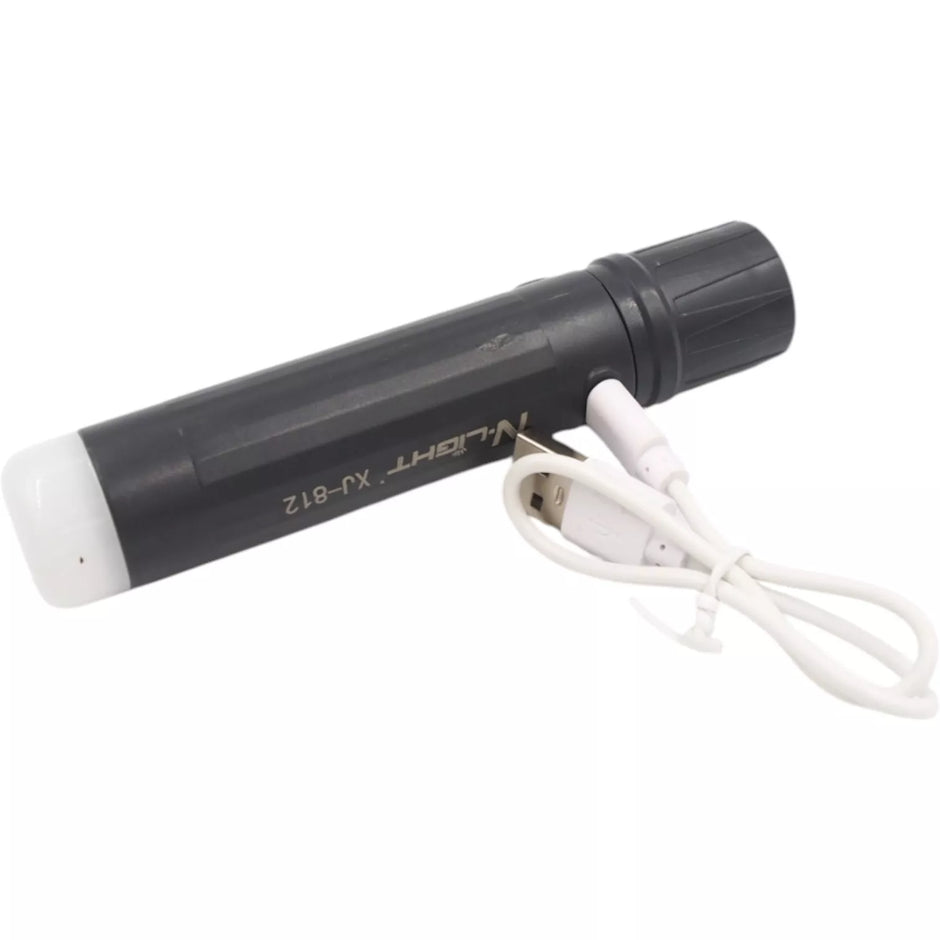 Prožektorius TR2004E