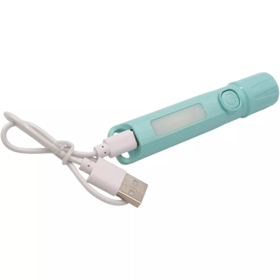 Prožektorius TR2004F