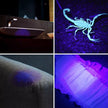 UV Spindulių Prožektorius